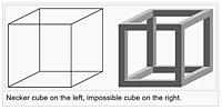 Necker Cube - Wikipedia